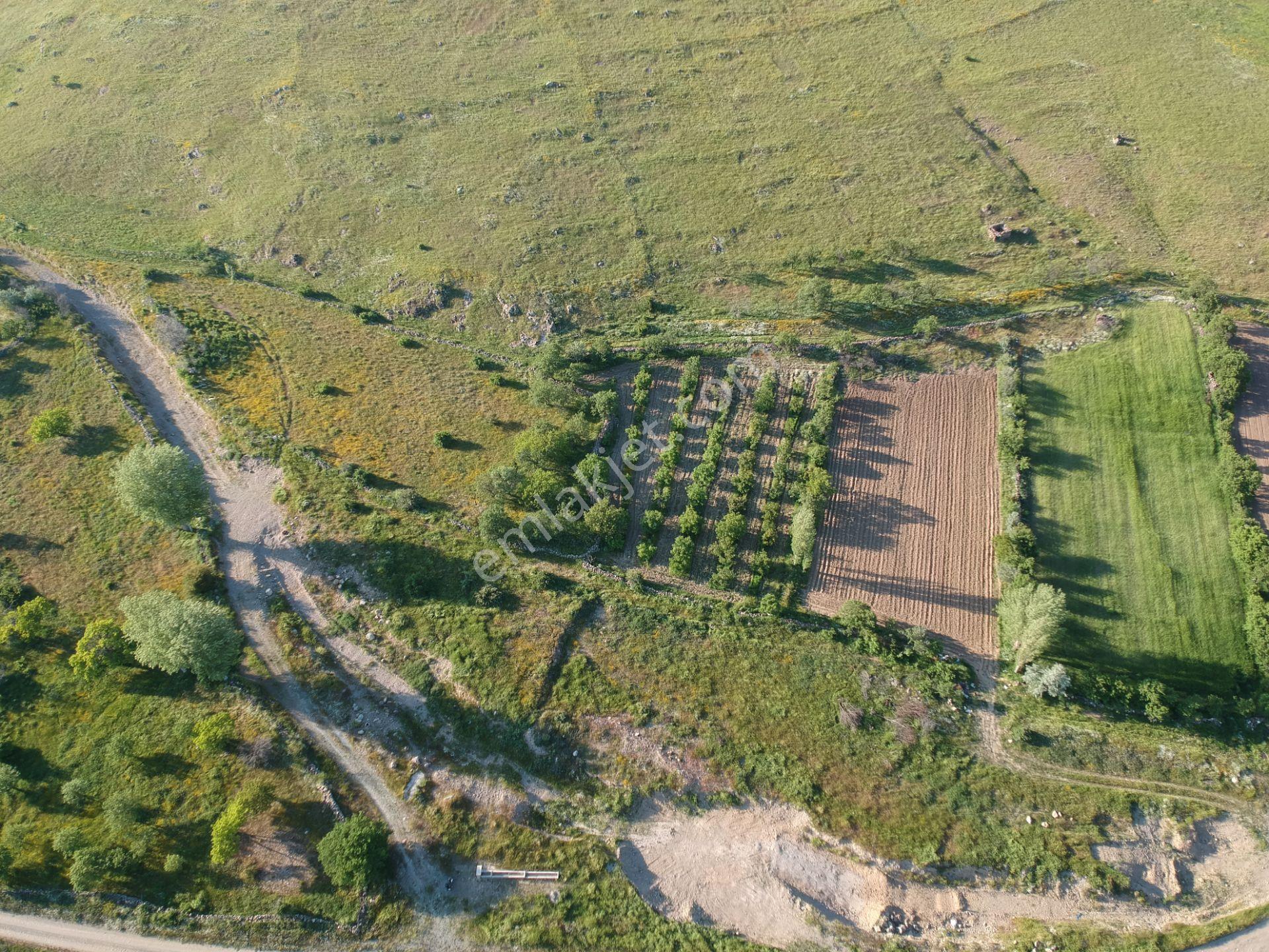 İlbey // Şuhut Karlık Köyü "yandım Yakası" Mevkiinde 2.252 M² Satılık Tarla - Görsel 28