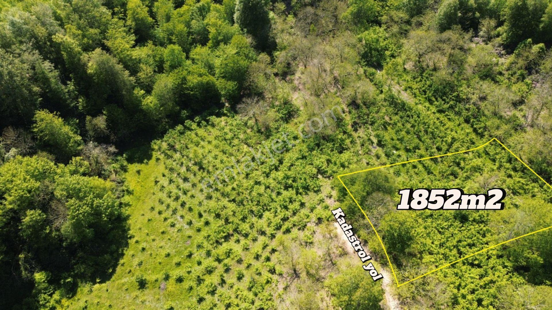 Bilgin Emlaktan Merkeze Yakın İki Arsa Tek Fiyat Uygun Fiyatlı - Görsel 2