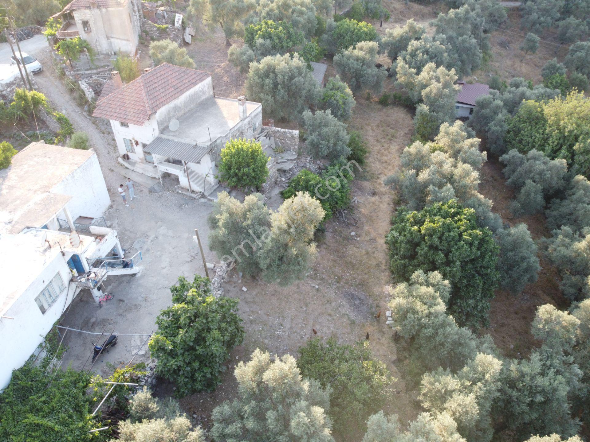 Son İndirim Avantajı:milas Çakıralanda Bahçeli,müstakil Taşınmz - Görsel 10