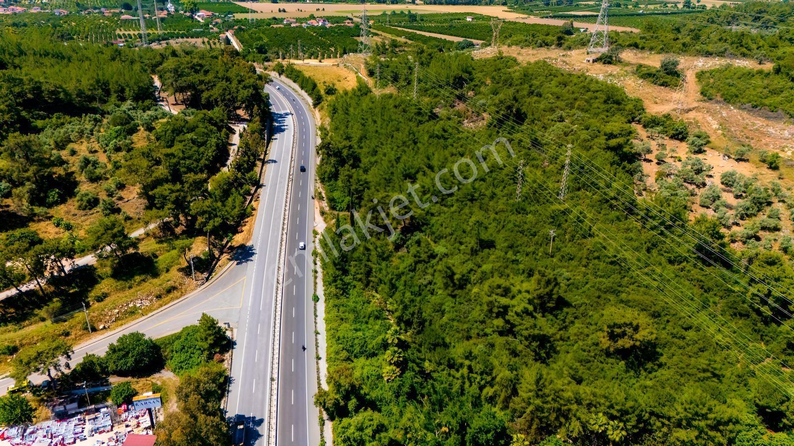 Cb Marina'dan Akçapınar'da Gökova-marmaris Yolu Üzeri Zeytinlik - Görsel 5