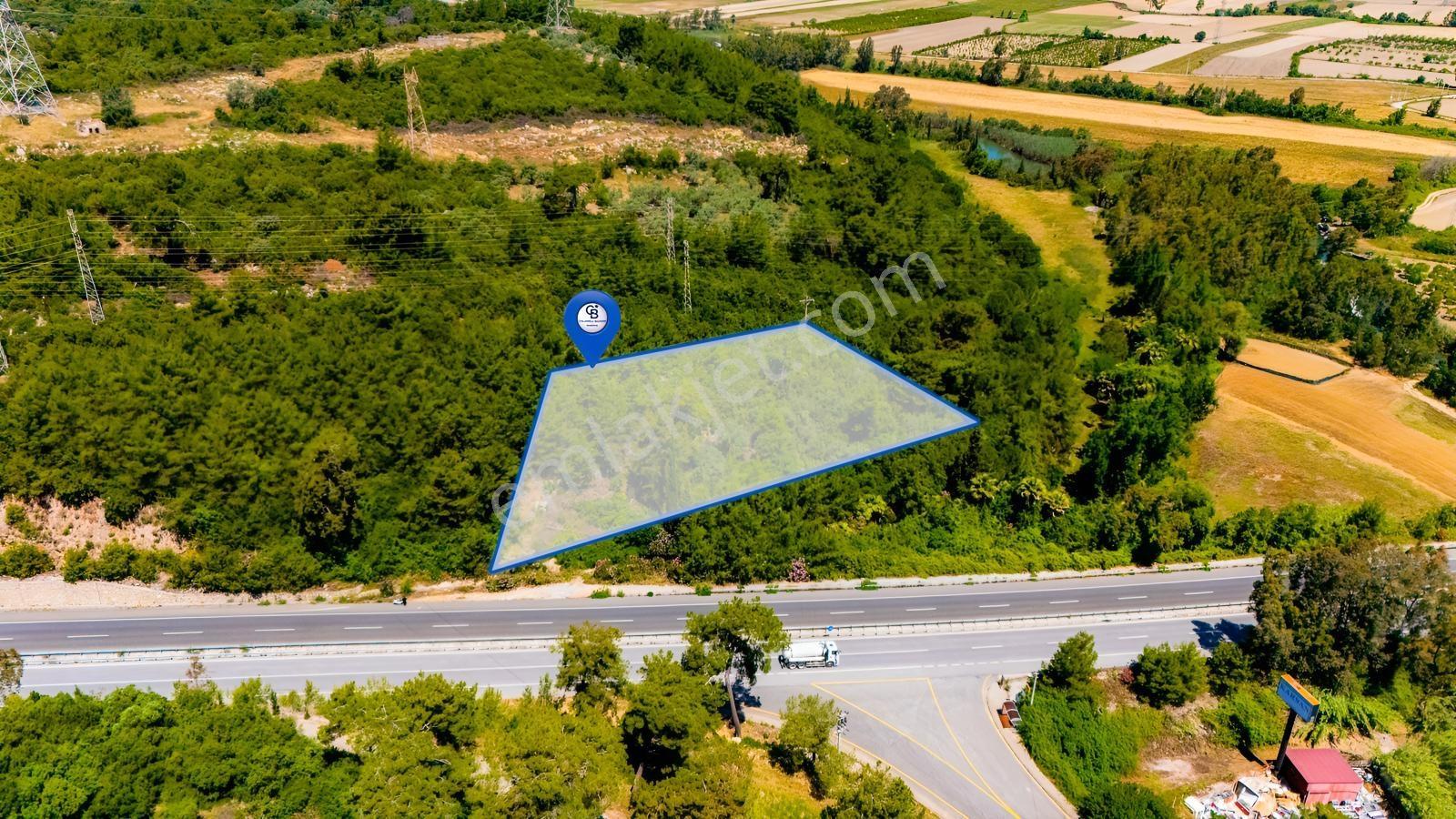 Cb Marina'dan Akçapınar'da Gökova-marmaris Yolu Üzeri Zeytinlik