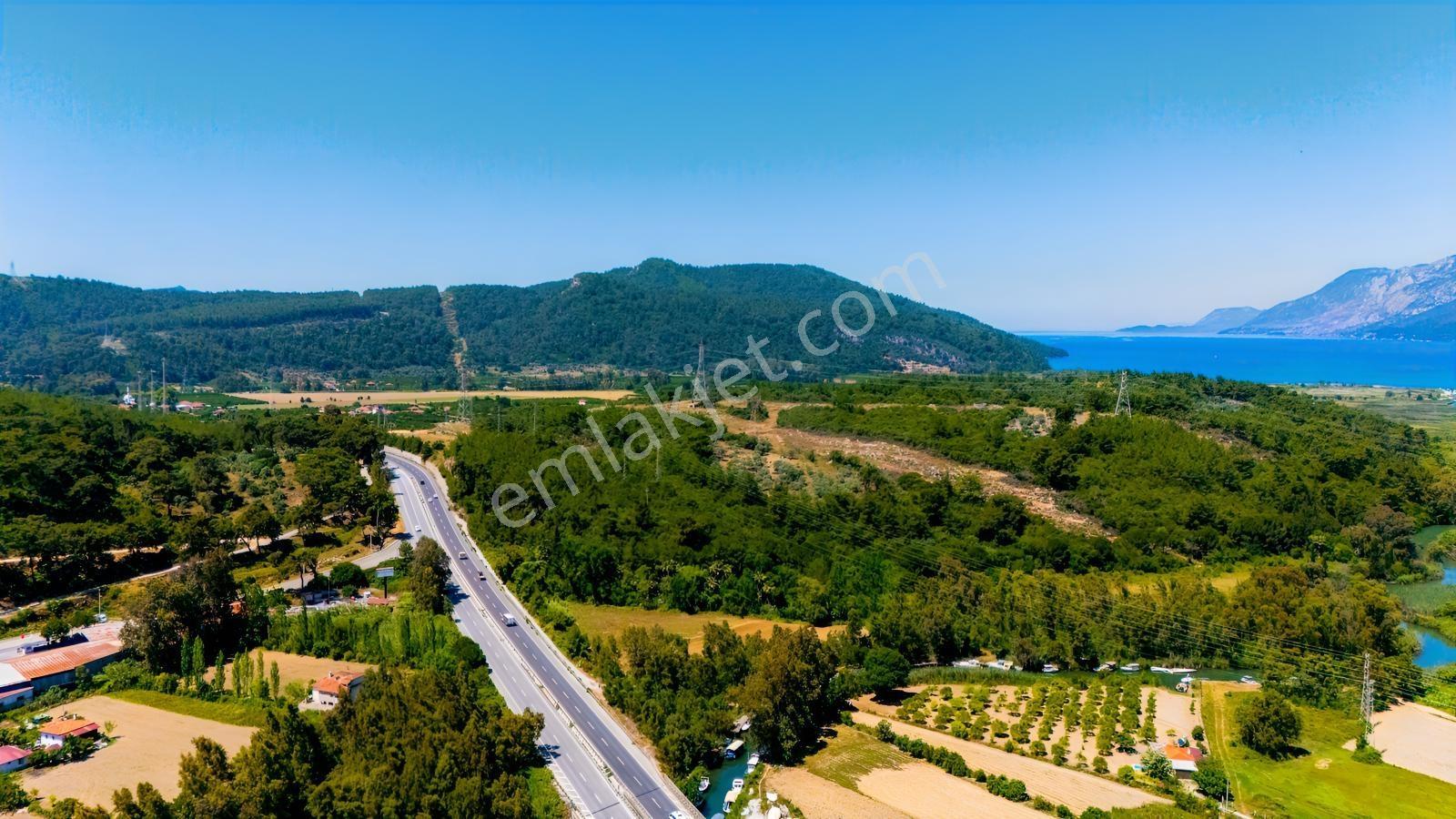 Cb Marina'dan Akçapınar'da Gökova-marmaris Yolu Üzeri Zeytinlik - Görsel 8