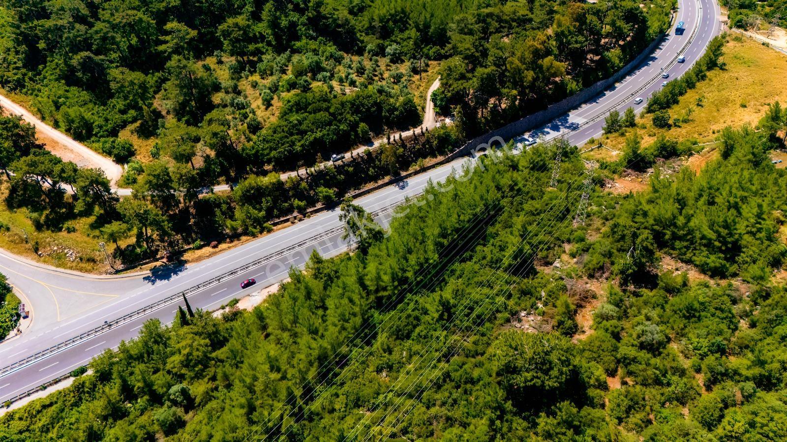 Cb Marina'dan Akçapınar'da Gökova-marmaris Yolu Üzeri Zeytinlik - Görsel 11