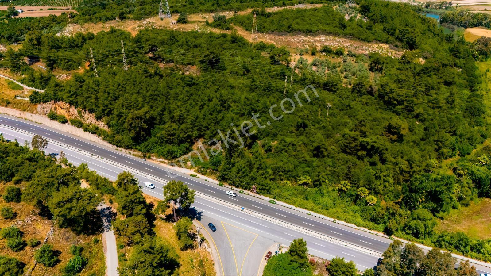 Cb Marina'dan Akçapınar'da Gökova-marmaris Yolu Üzeri Zeytinlik - Görsel 4