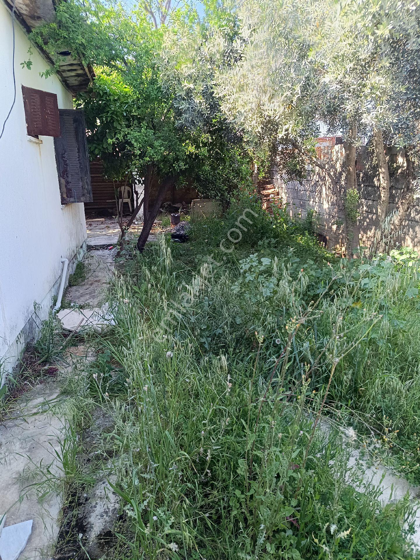 Satılık Müstakil Ev - Görsel 4
