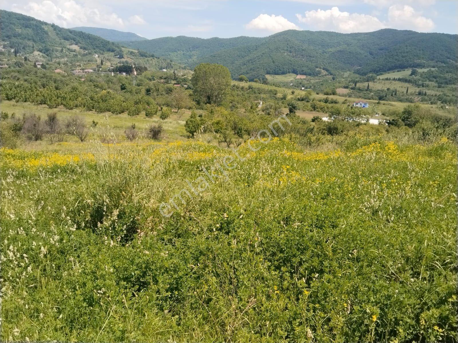 Satılık Arsa %30/%60 İmarlı - Görsel 5