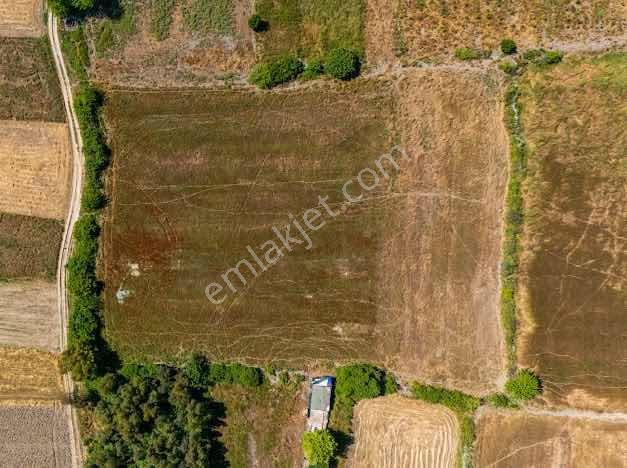 Muğla Ula Portakallık Mah. Satılık Tarla - Görsel 3