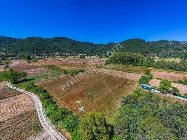 Muğla Ula Portakallık Mah. Satılık Tarla - Görsel 17