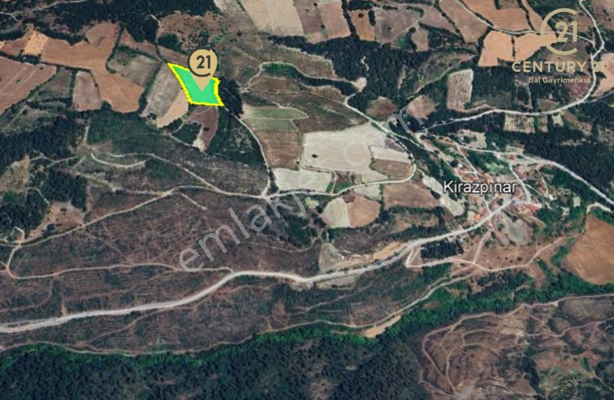 C21 Bal'dan Altıeylül Kirazpınar Köyünde Satılık Tarla - Görsel 4