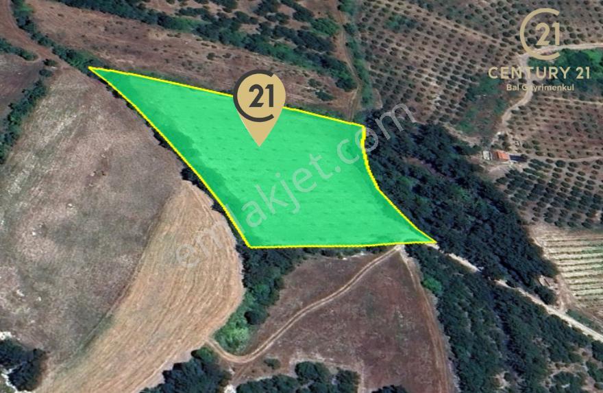 C21 Bal'dan Altıeylül Kirazpınar Köyünde Satılık Tarla - Görsel 8