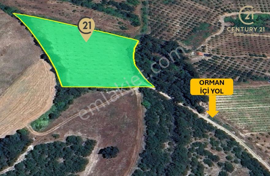 C21 Bal'dan Altıeylül Kirazpınar Köyünde Satılık Tarla - Görsel 9