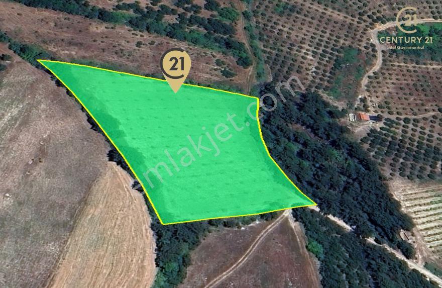 C21 Bal'dan Altıeylül Kirazpınar Köyünde Satılık Tarla - Görsel 12