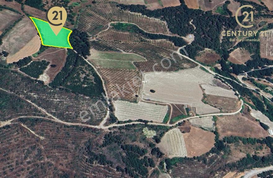 C21 Bal'dan Altıeylül Kirazpınar Köyünde Satılık Tarla - Görsel 7