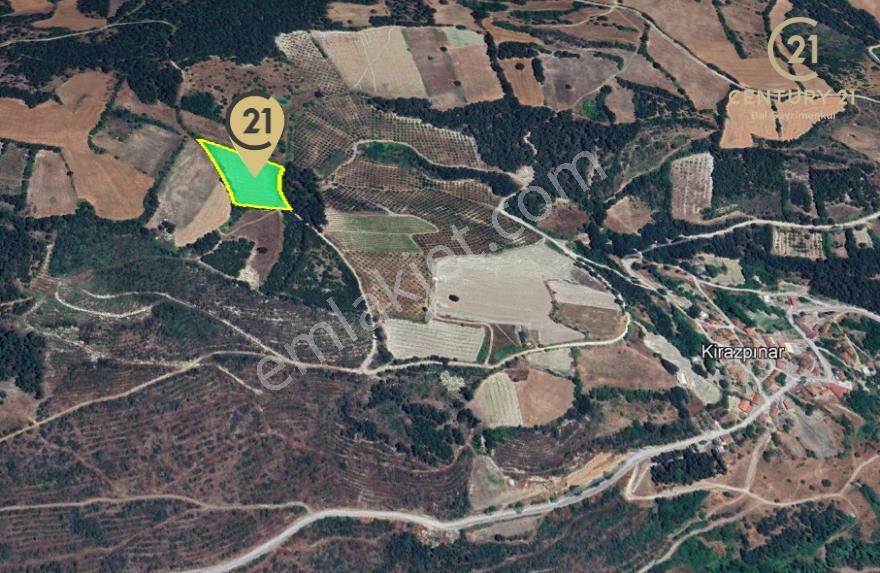 C21 Bal'dan Altıeylül Kirazpınar Köyünde Satılık Tarla - Görsel 6