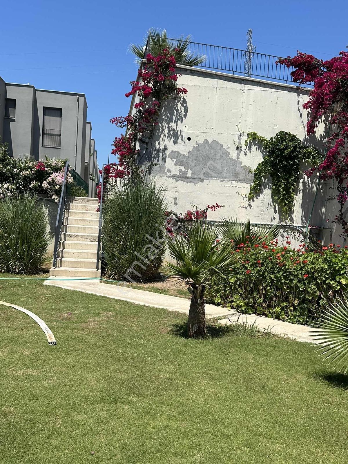 Milas Bodrum Yoluna Yakın Dörttepe 1+1 Eşyalı Kiralık Bahçe Katı - Görsel 3
