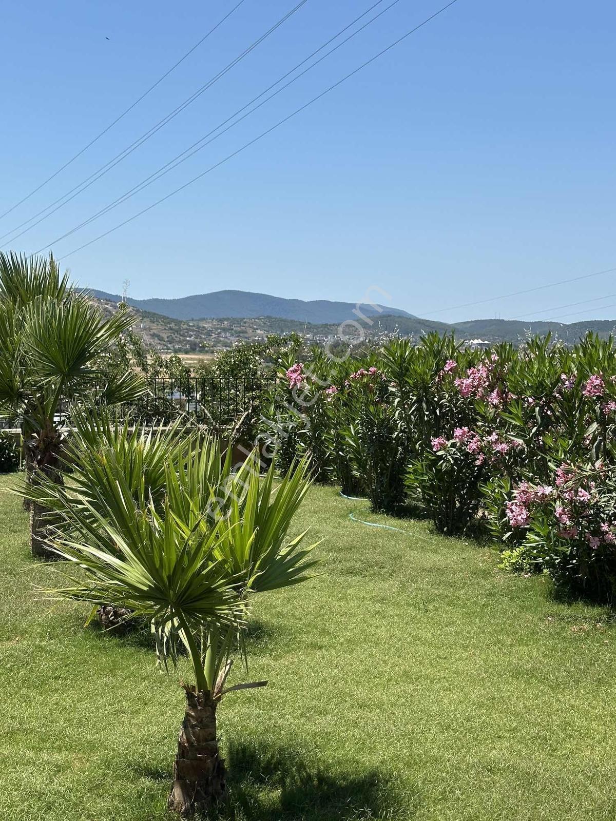 Milas Bodrum Yoluna Yakın Dörttepe 1+1 Eşyalı Kiralık Bahçe Katı - Görsel 9