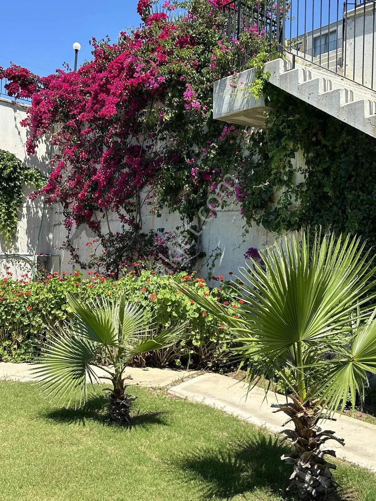 Milas Bodrum Yoluna Yakın Dörttepe 1+1 Eşyalı Kiralık Bahçe Katı - Görsel 22