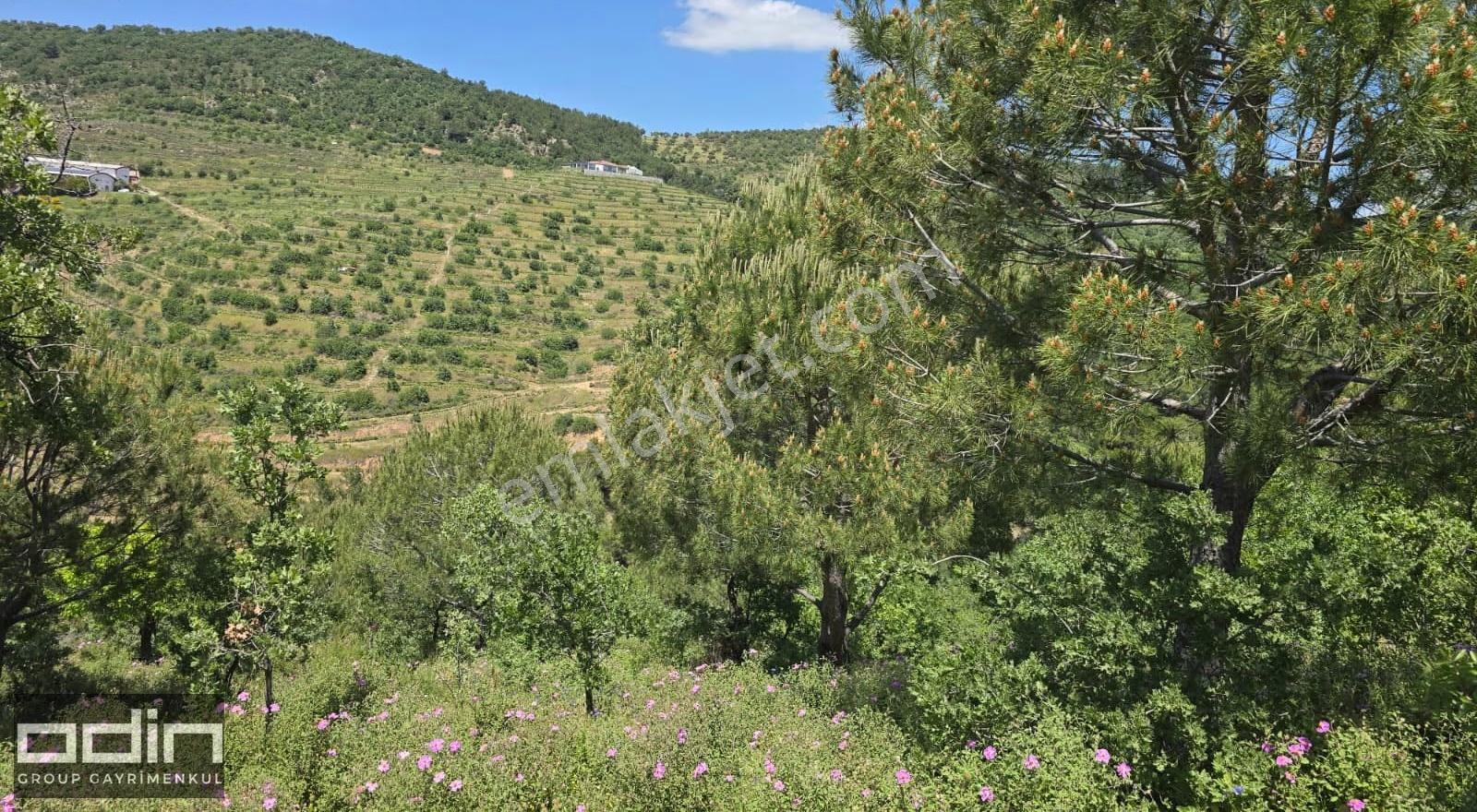 Odin Gayrimenkul | Deniz Manzaralı Kadastro Yola Cepheli Tarla - Görsel 5