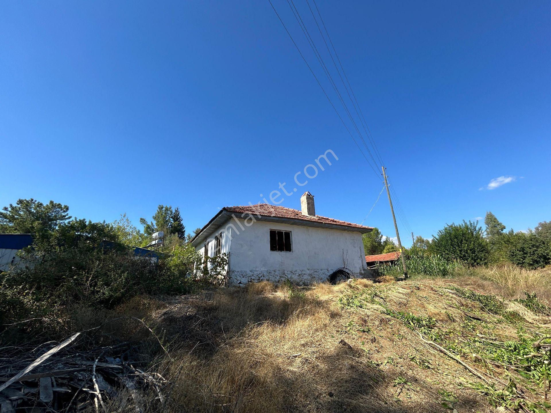 Muğla Köyceğiz Pınar Köyde 1.583 M2 Satılık Tarla - Görsel 3