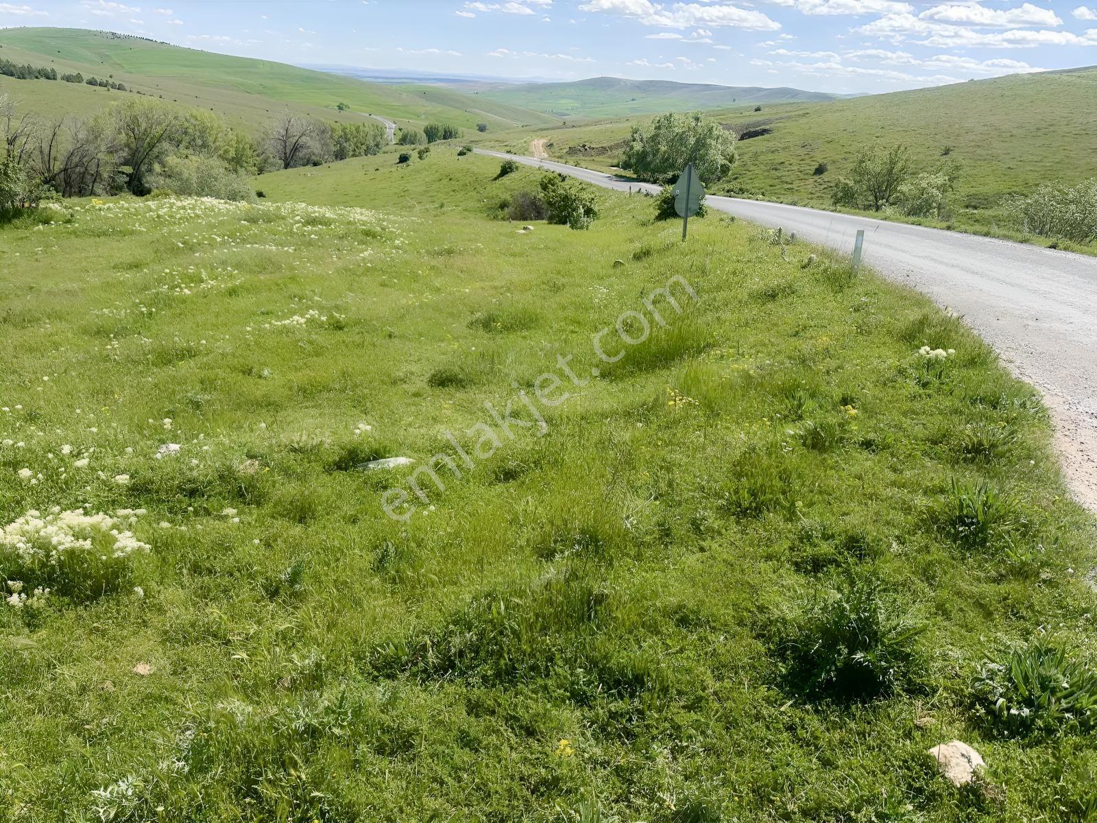 Yozgat Merkez Çağlayan Köy İçi İki Kat İmarlı Arsa - Görsel 10