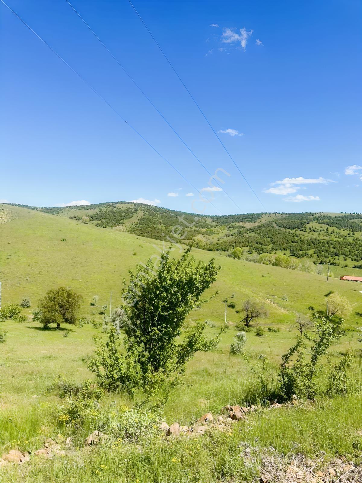 Yozgat Merkez Çağlayan Köy İçi İki Kat İmarlı Arsa - Görsel 13