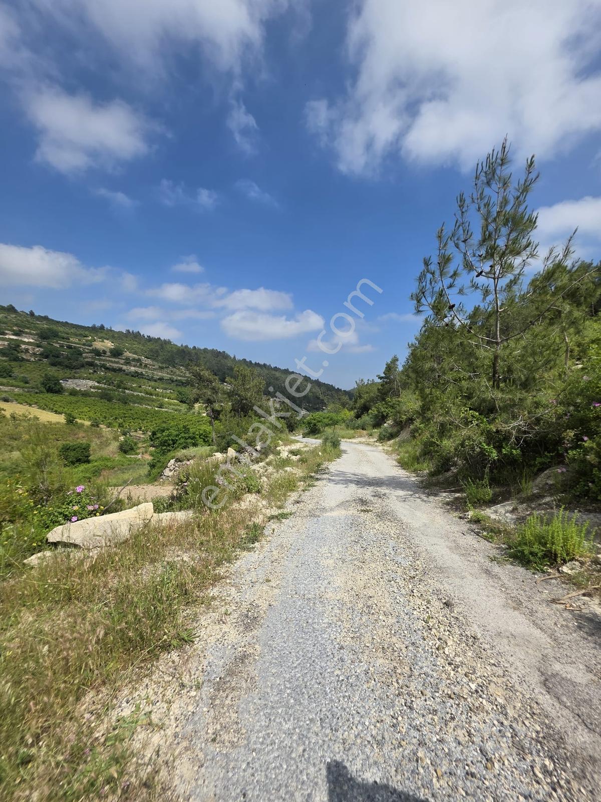 Erdemli İlemin'de 2+1 Yayla Evi + 4 Adet Tarla Toplam :6.279m2 - Görsel 12