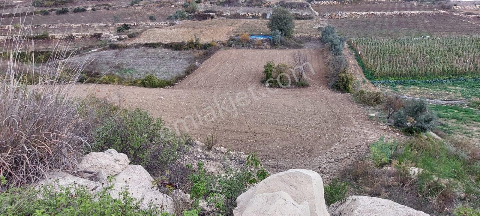 Erdemli İlemin'de 2+1 Yayla Evi + 4 Adet Tarla Toplam :6.279m2 - Görsel 4
