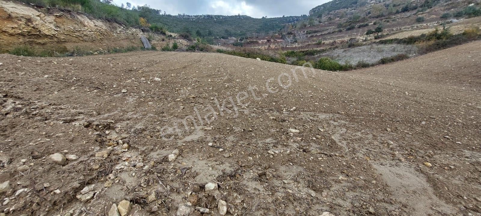 Erdemli İlemin'de 2+1 Yayla Evi + 4 Adet Tarla Toplam :6.279m2 - Görsel 11