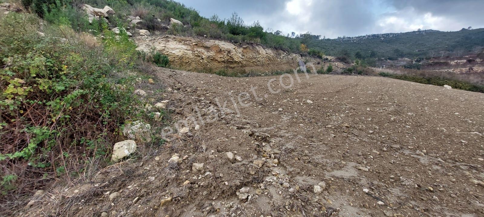 Erdemli İlemin'de 2+1 Yayla Evi + 4 Adet Tarla Toplam :6.279m2 - Görsel 5