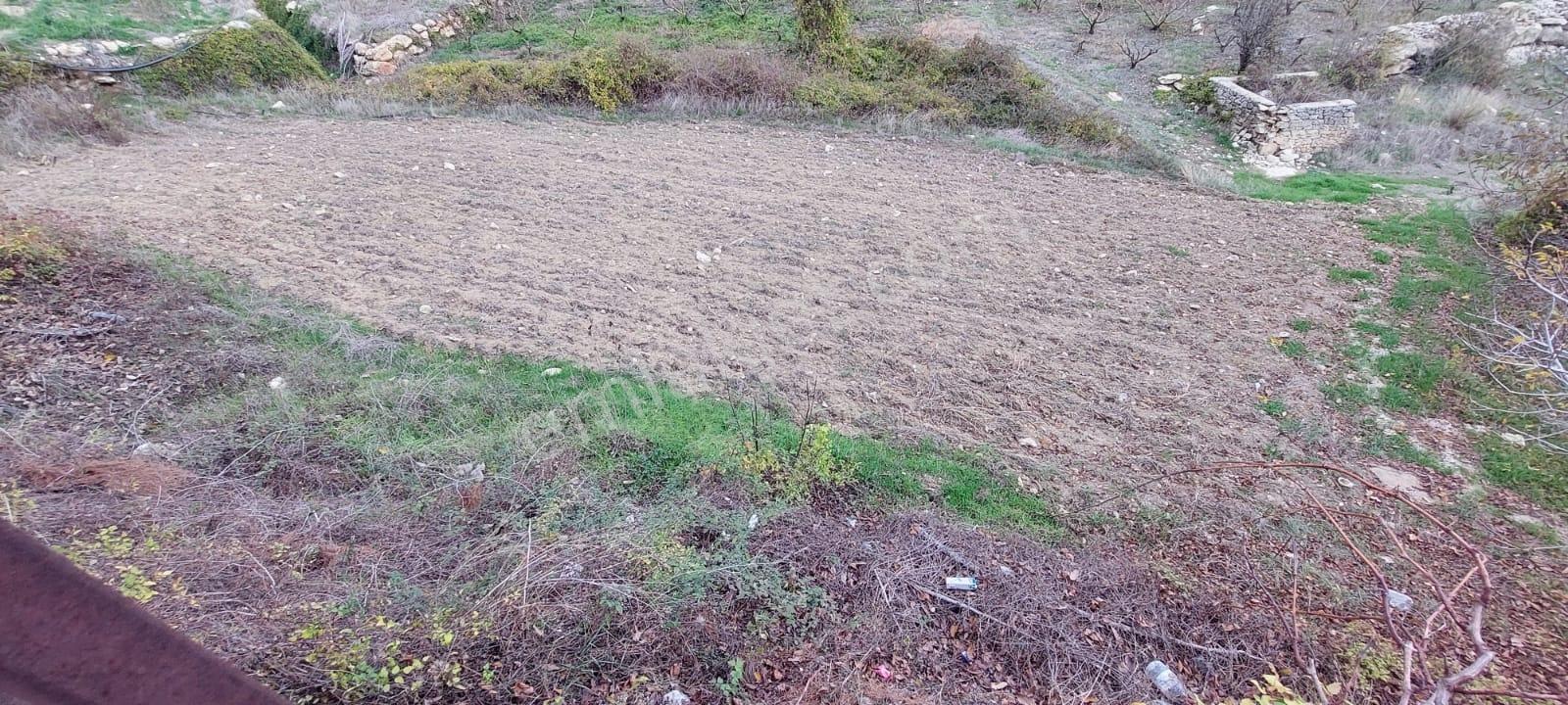Erdemli İlemin'de 2+1 Yayla Evi + 4 Adet Tarla Toplam :6.279m2 - Görsel 22