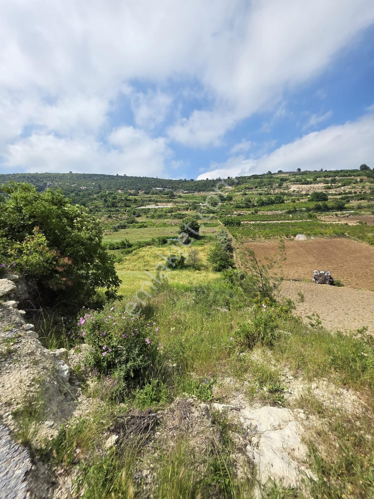 Erdemli İlemin'de 2+1 Yayla Evi + 4 Adet Tarla Toplam :6.279m2 - Görsel 2