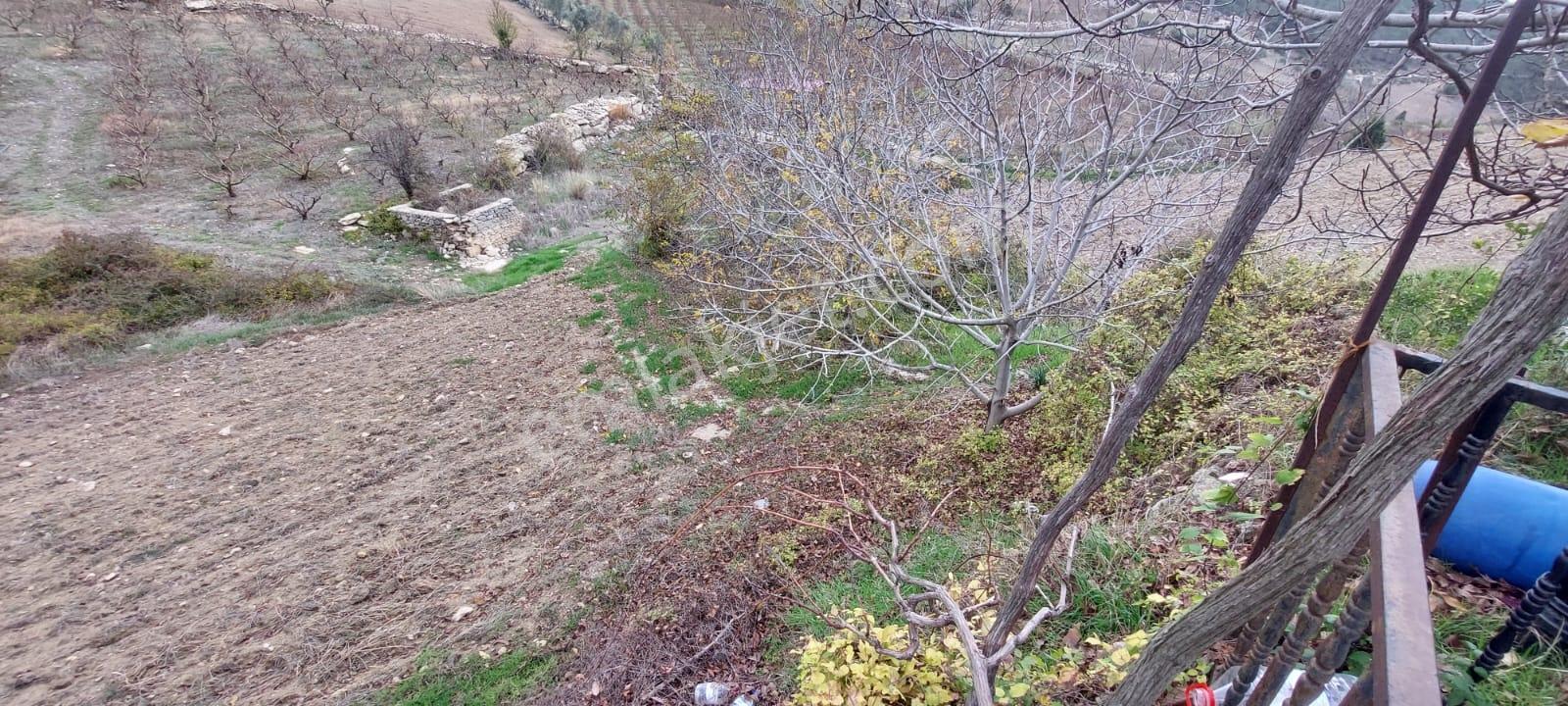Erdemli İlemin'de 2+1 Yayla Evi + 4 Adet Tarla Toplam :6.279m2 - Görsel 30