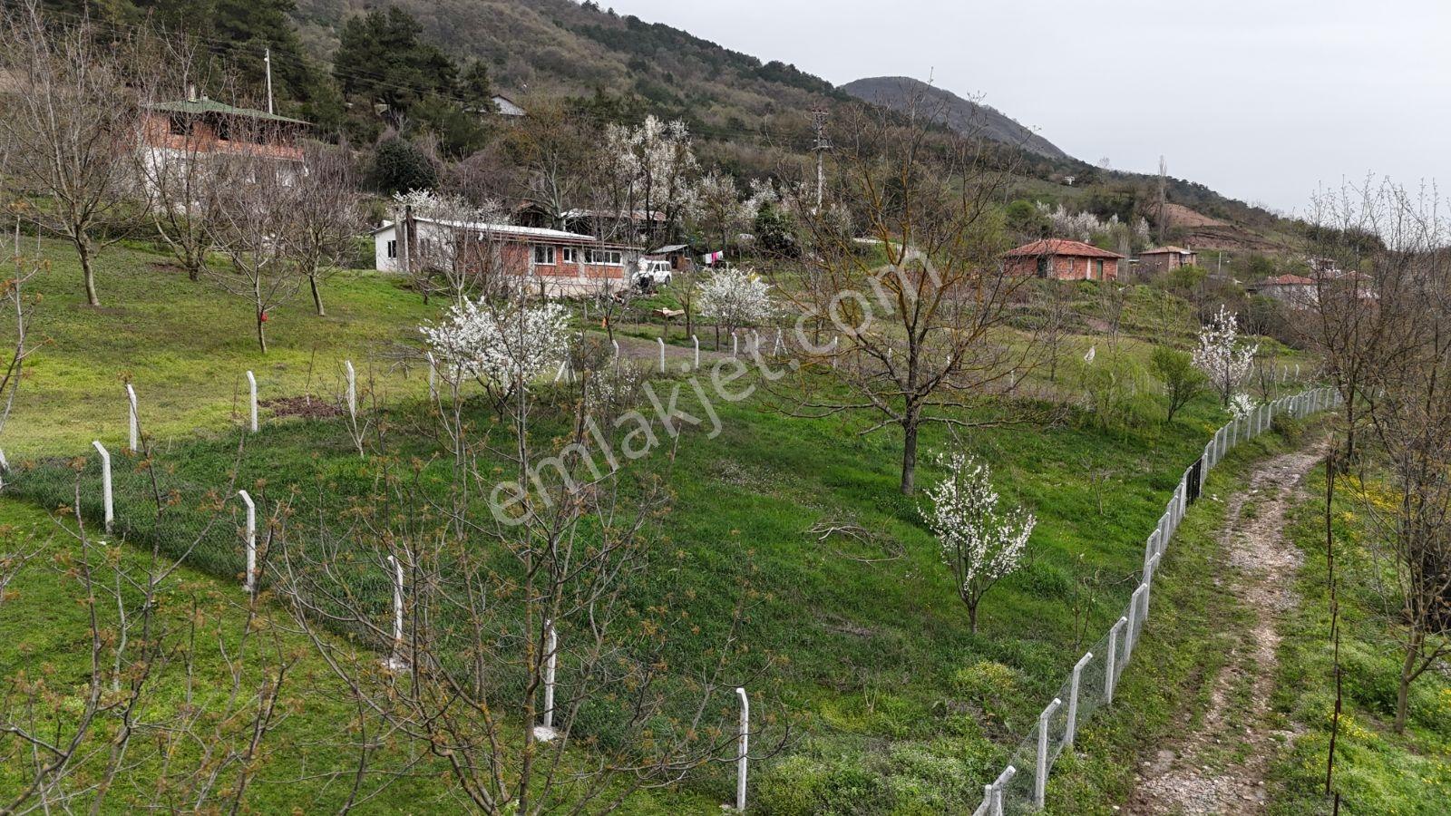 Aciliyetten Geyve Akıncı 1147m2 %40imarlı Manzaralı Fırsat Arsa - Görsel 12