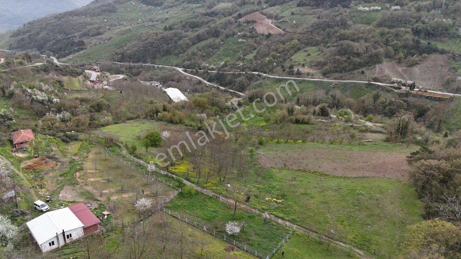 Aciliyetten Geyve Akıncı 1147m2 %40imarlı Manzaralı Fırsat Arsa - Görsel 5