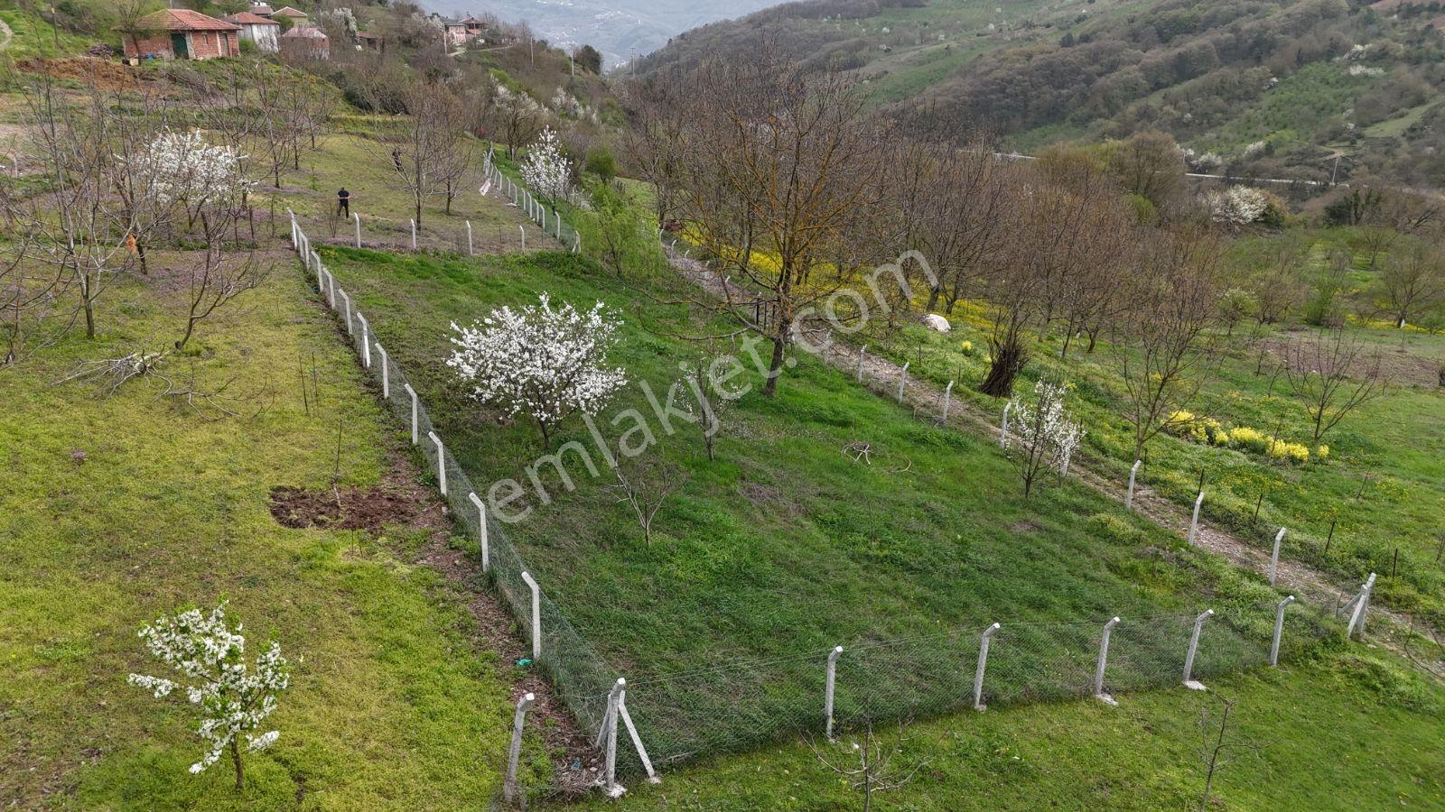 Aciliyetten Geyve Akıncı 1147m2 %40imarlı Manzaralı Fırsat Arsa - Görsel 13