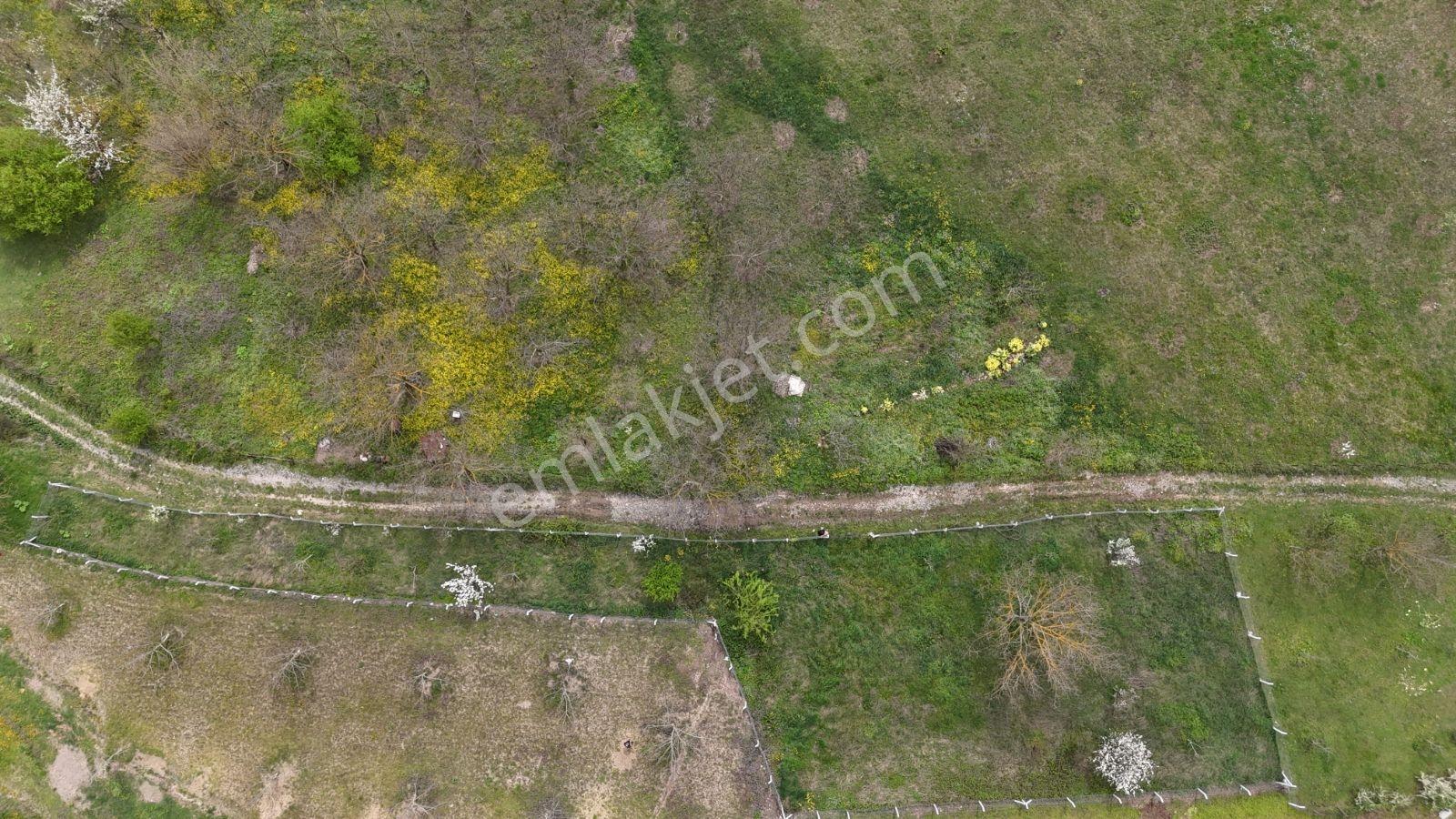 Aciliyetten Geyve Akıncı 1147m2 %40imarlı Manzaralı Fırsat Arsa - Görsel 10