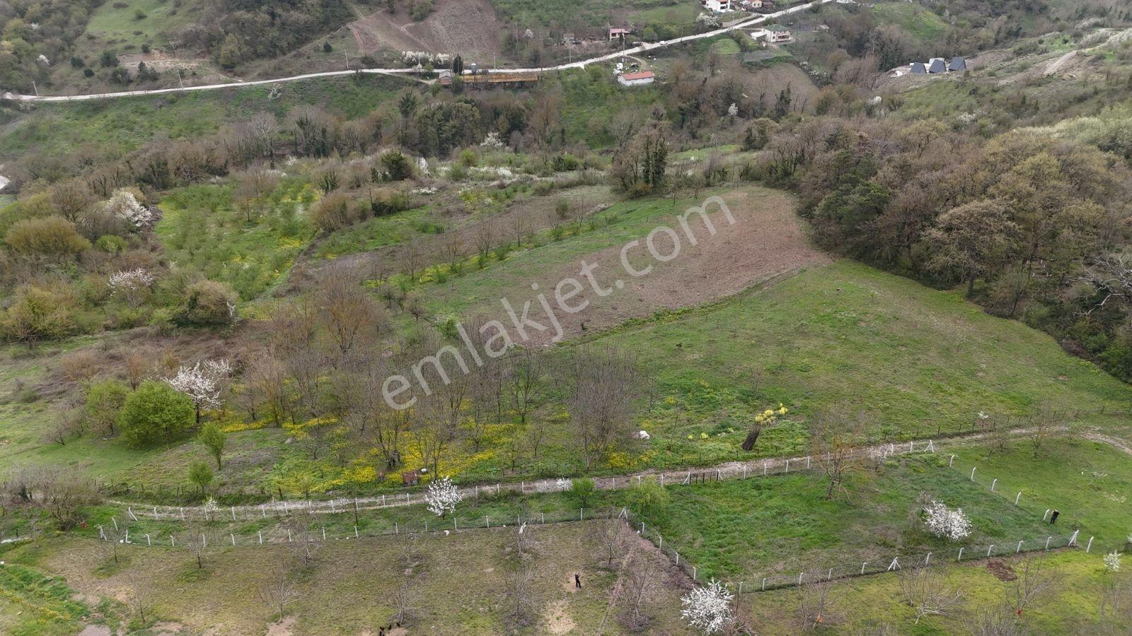 Aciliyetten Geyve Akıncı 1147m2 %40imarlı Manzaralı Fırsat Arsa - Görsel 4