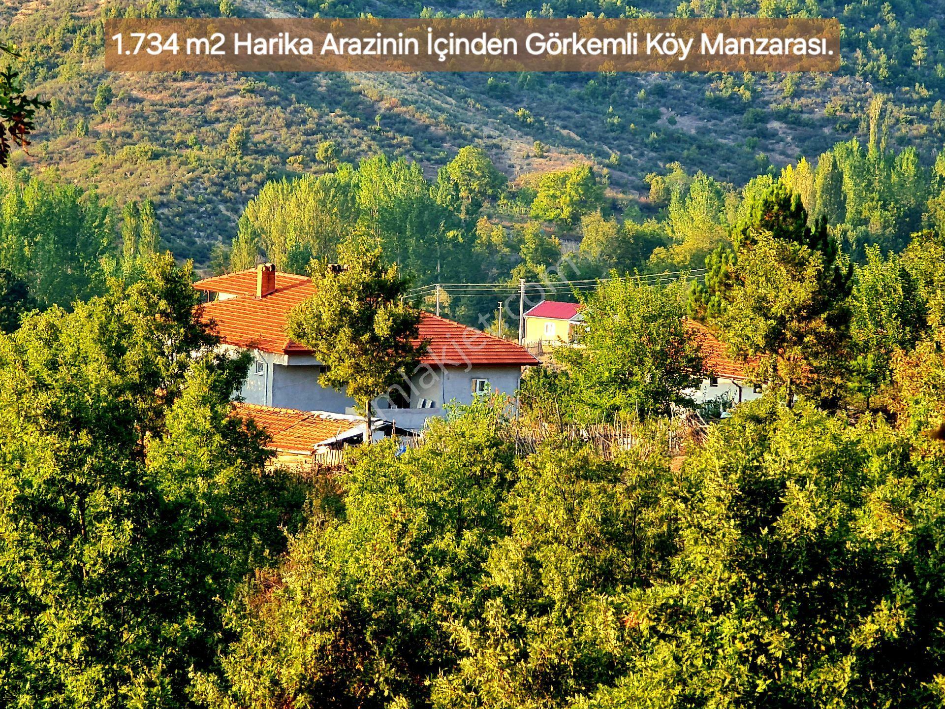 Domaniç Sarıotta Köyiçi %25 Ev Potansiyelli 1734m² Harika Bahçe Elk Su Manzara Çok Uygun