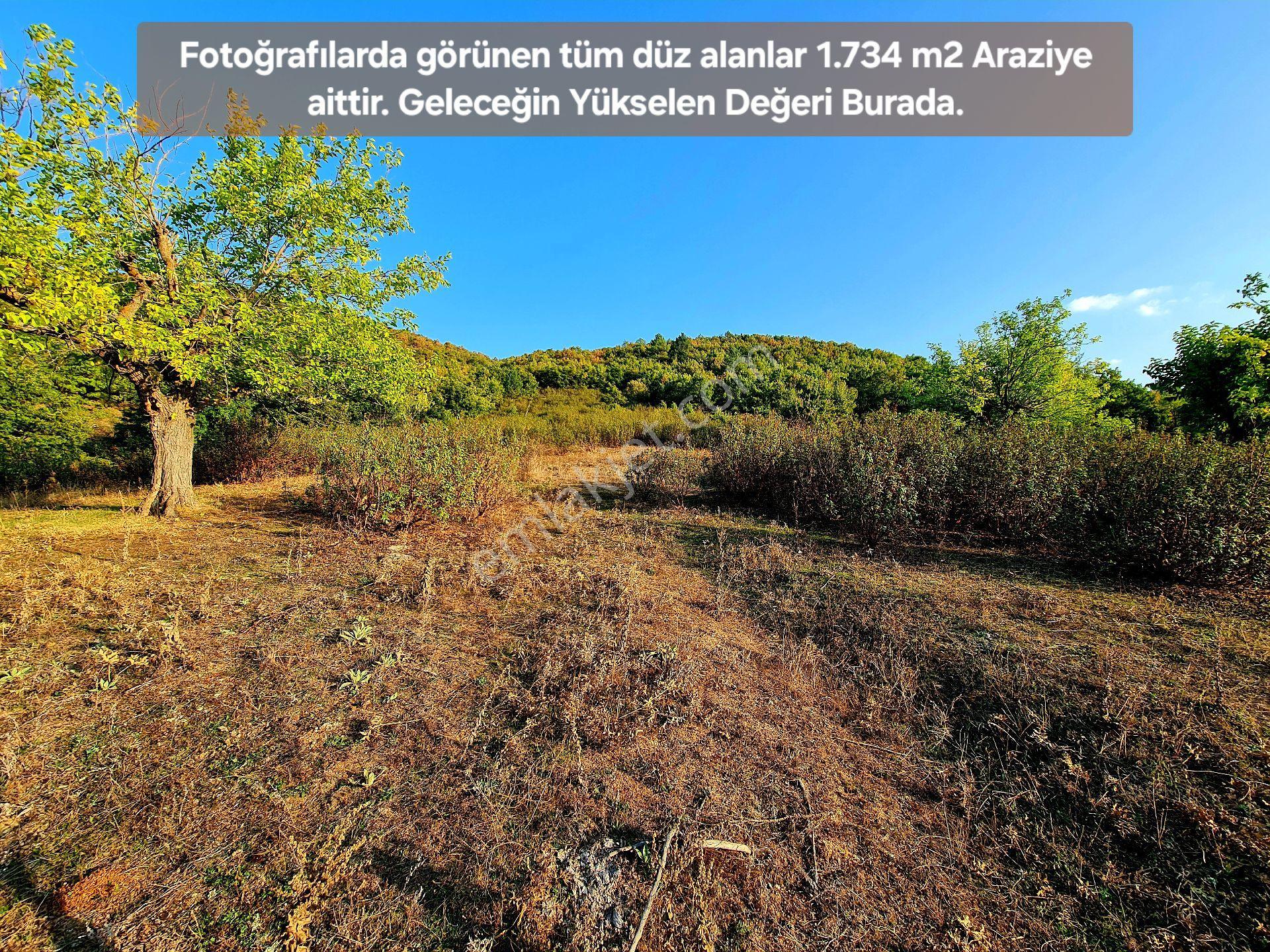 Domaniç Sarıotta Köyiçi %25 Ev Potansiyelli 1734m² Harika Bahçe Elk Su Manzara Çok Uygun - Görsel 12