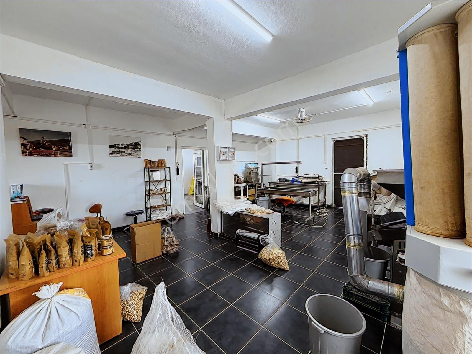 Delta'dan Devren Kiralık Fındık Üretim Ve Satış İşletmesi - Görsel 16