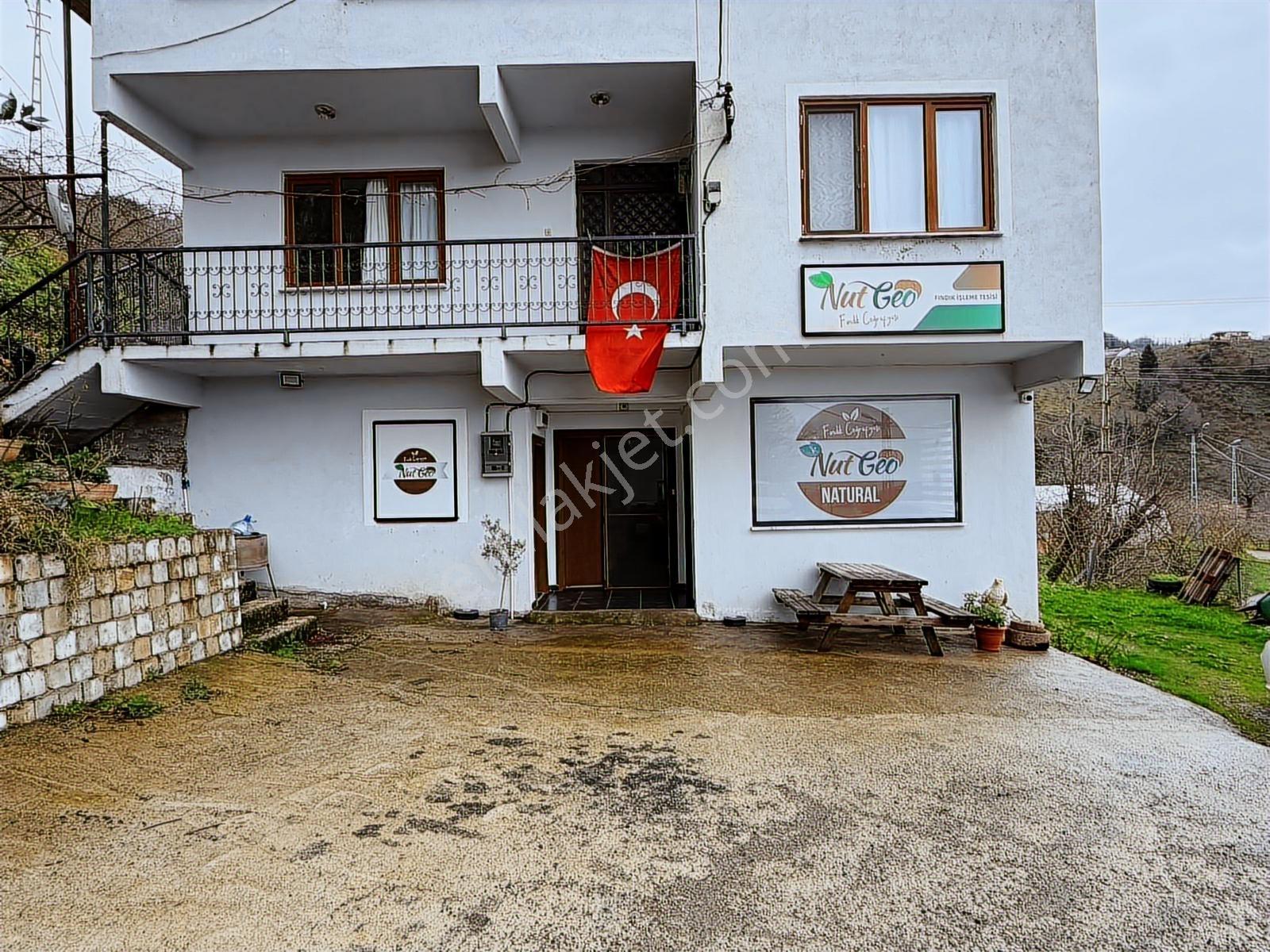 Delta'dan Devren Kiralık Fındık Üretim Ve Satış İşletmesi - Görsel 14