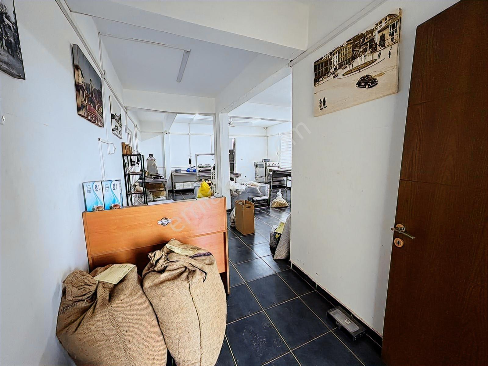 Delta'dan Devren Kiralık Fındık Üretim Ve Satış İşletmesi - Görsel 6