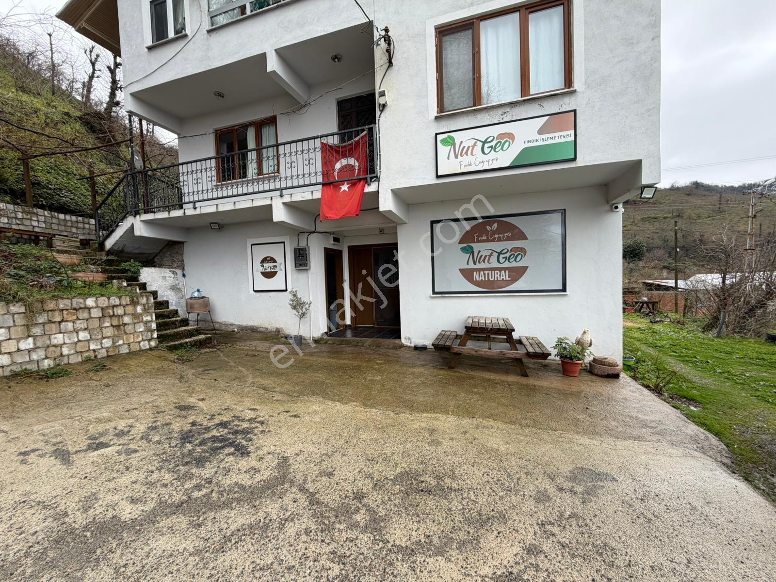 Delta'dan Devren Kiralık Fındık Üretim Ve Satış İşletmesi - Görsel 15