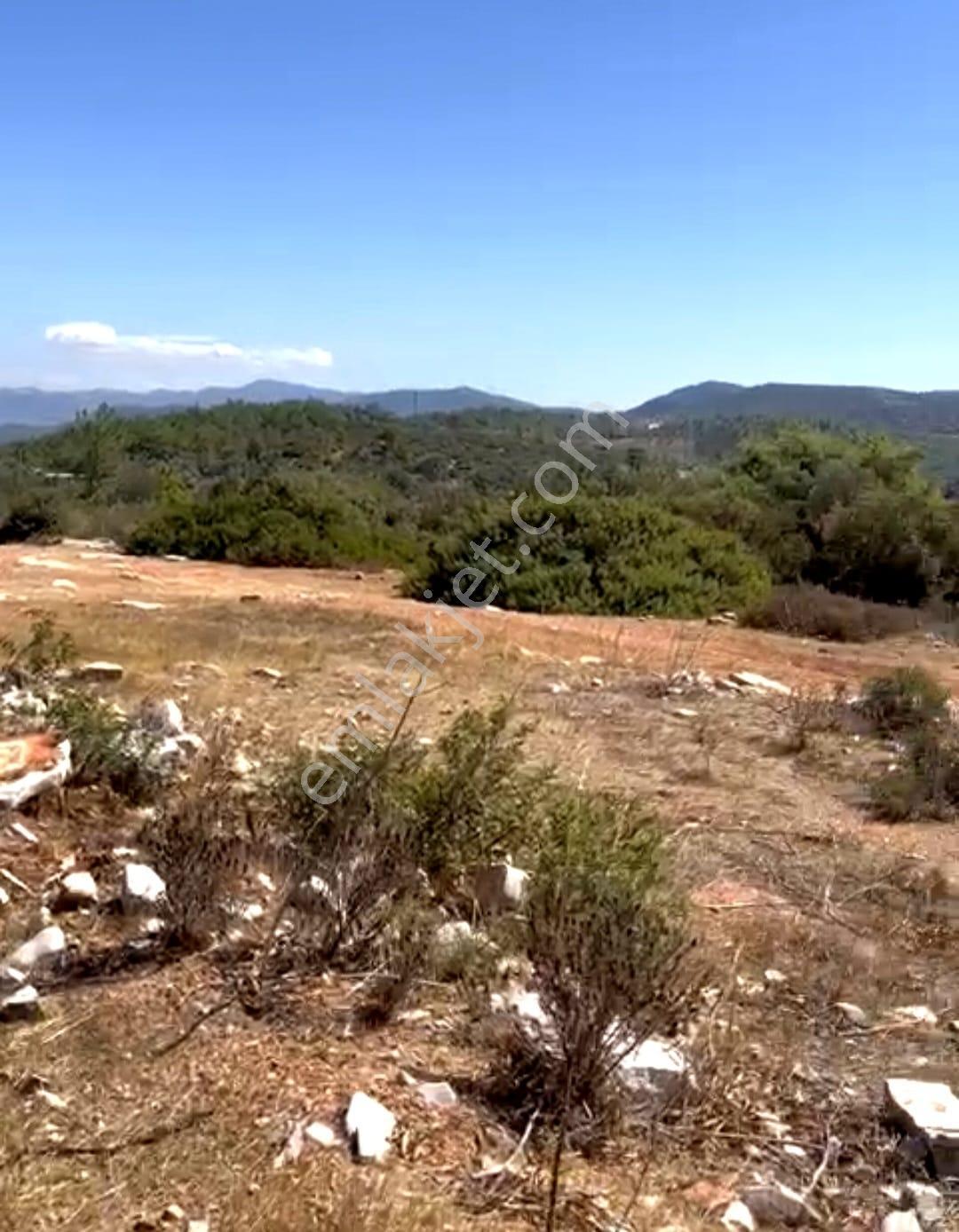Bodrum Kızılağaçta Avantajlı Konumda 745 M2 Kooperatif Hissesi - Görsel 2
