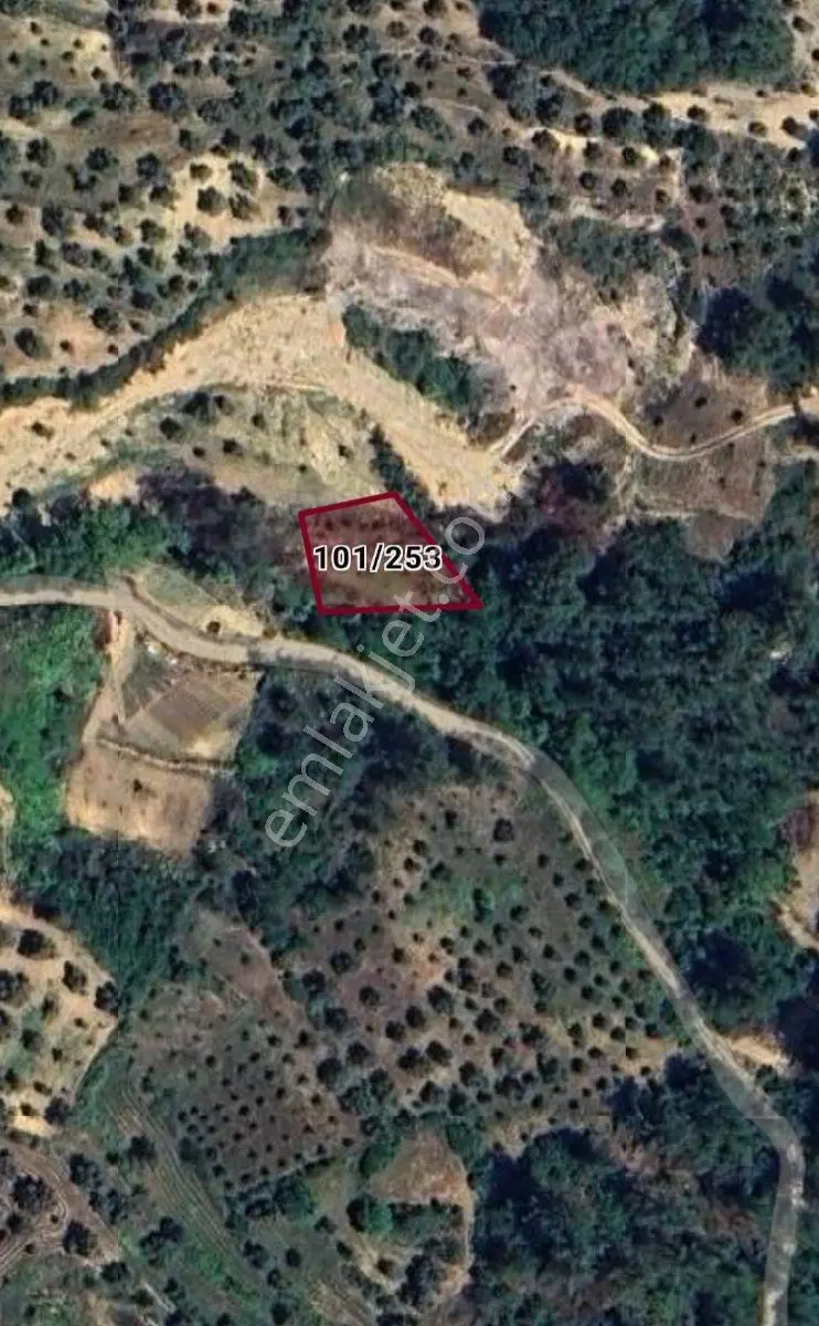 Milas Alatepe'de 800m2 Yola Sıfır Bahçe