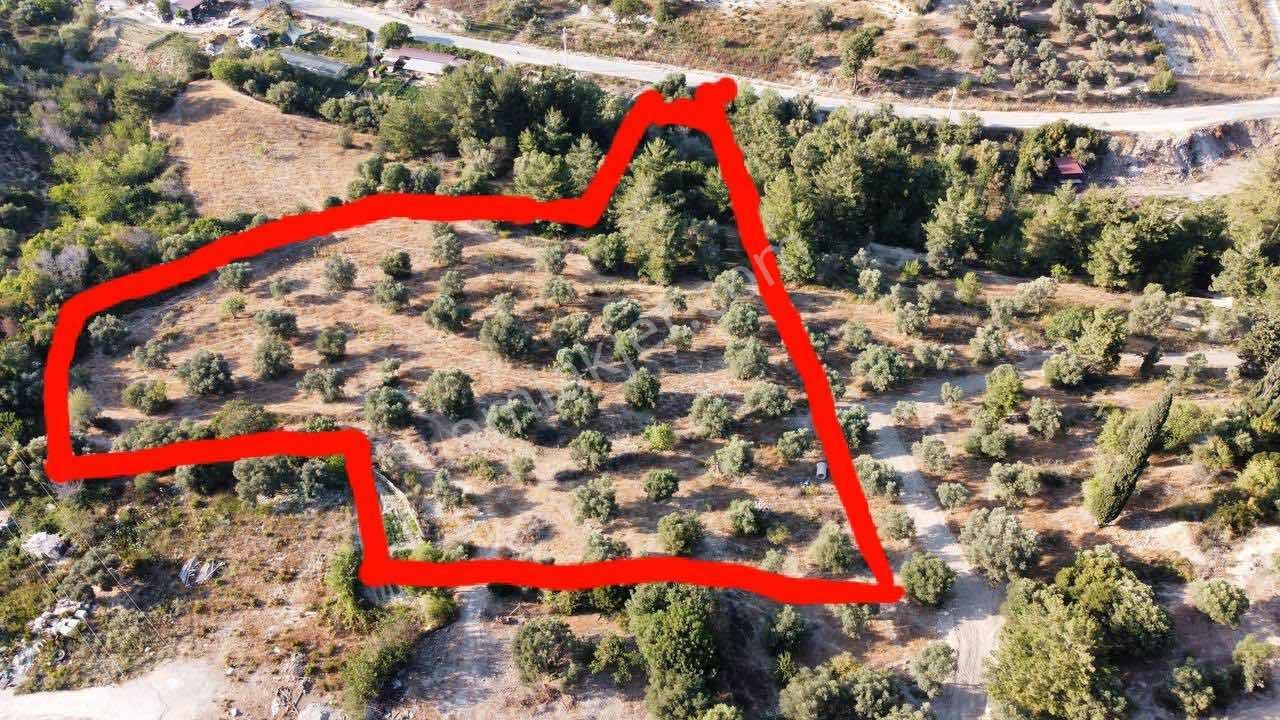 Merkezde 6000m2 Arsa 500m2 Den 12 Adet Villa Yapılıyor - Görsel 9
