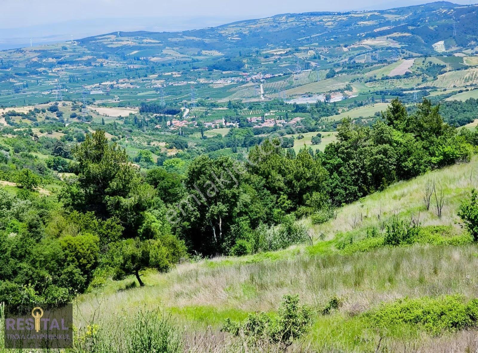 Çanakkale Lapseki Subaşı Köyünde Satılık - Görsel 13