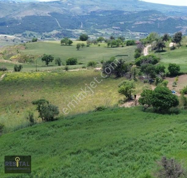 Çanakkale Kemel Köyünde Satılık Baraj Manzaralı Tarla - Görsel 4