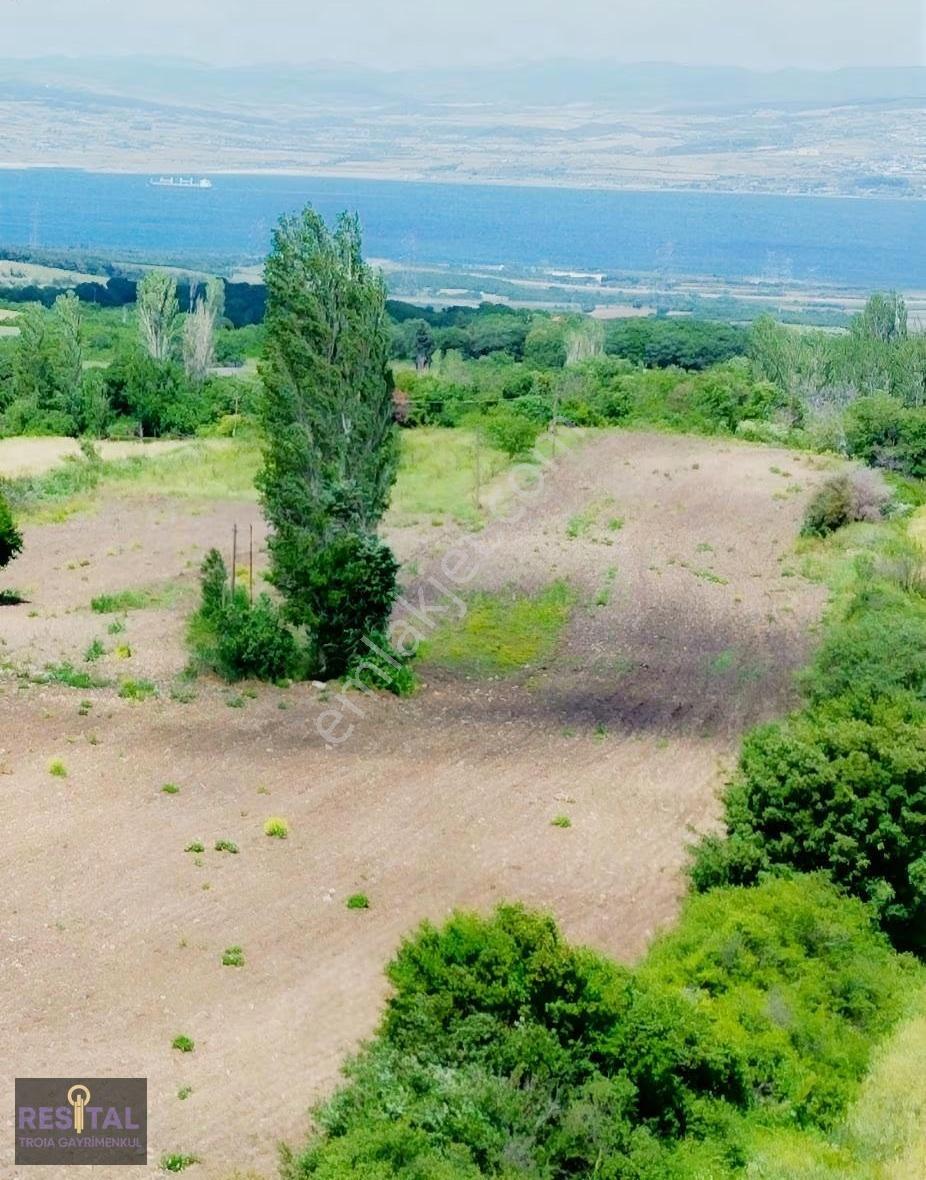 Çanakkale Lapseki Kocaveli Köyünde Satılık Harıka Konumda Tarla - Görsel 5