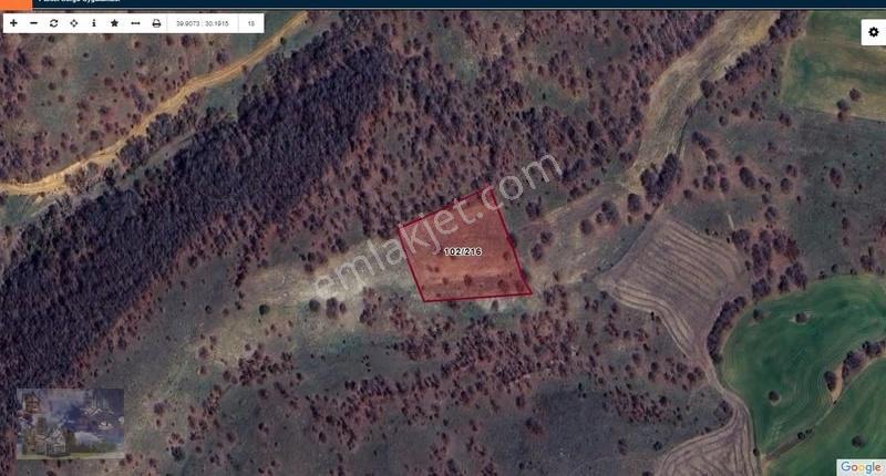 Doğa City'den Satılık Bilecik Söğüt Oluklu'da 4.885 M2 Tarla - Görsel 6